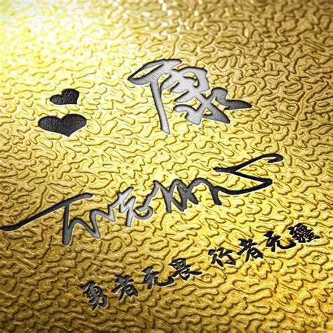 我姓康非主流头像