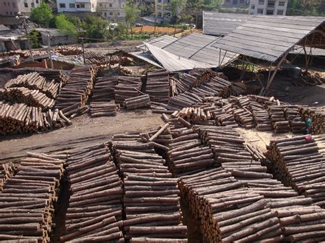 木材厂木材木头木材市场木业高清图片下载-正版图片501587146-摄图网