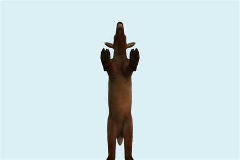 落基山麋鹿小牛 by DNSpod - 3D打印模型文件3D模型库 -免费/平价 魔猴网