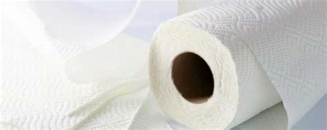 卫生纸原材料是什么 卫生纸原材料是什么制作的_知秀网