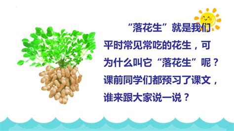 落花生思维导图图片