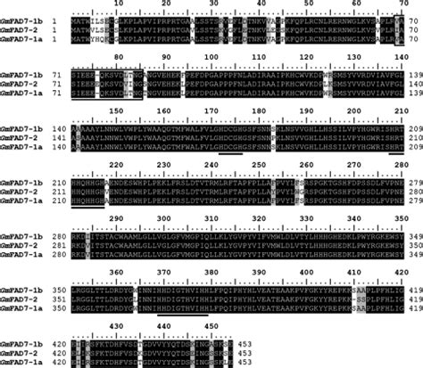 (A) Wound- and jasmonate-responsive expression of GmFAD7 genes in ...