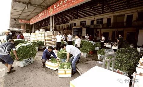 8月2日武汉白沙洲市场蔬菜批发价格（单位：元/公斤）-武汉市农业农村局