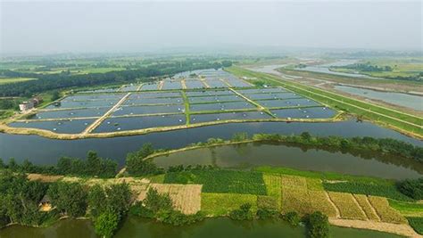 全球及中国水产饲料行业发展现状，水产饲料需求有所增长-承兴科技