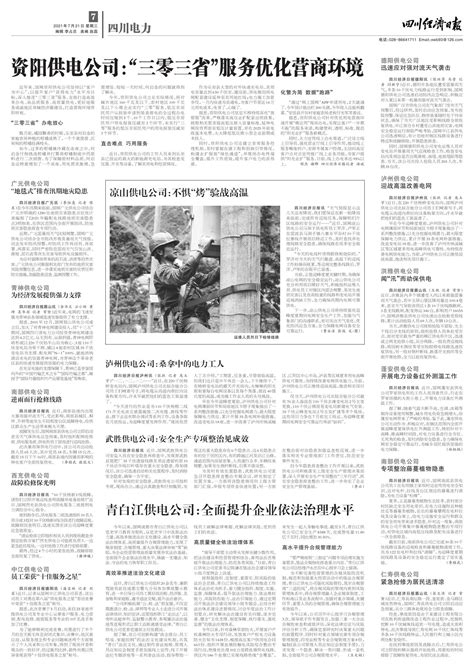 资阳供电公司：“三零三省”服务优化营商环境--四川经济日报