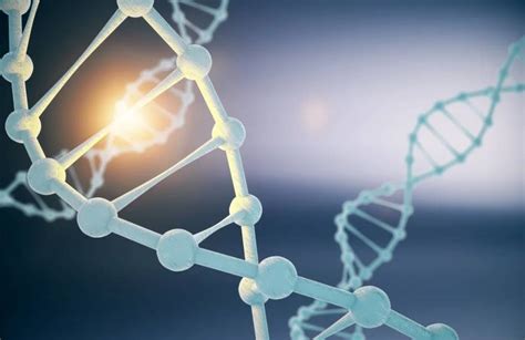 一种磁珠法提取细菌基因组DNA的试剂盒及提取方法与流程