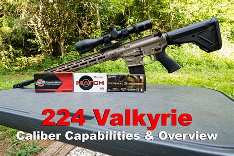 .224 Valkyrie Small Precision Rifle Cartridge: Everything Yo - Guns and ...