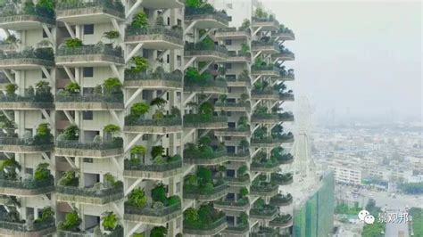 未来环保住宅概念——“彩虹树”住宅