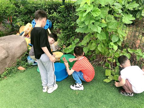 织东幼儿园：保护环境 从我做起-吴兴新闻网