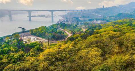 大渡口 实施城市更新提升行动 建设生态宜居公园城市 - 重庆日报网
