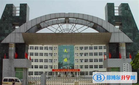 武汉市洪山高级中学国际部-国际学校网