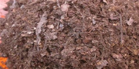 腐叶土的制作方法，腐叶土养花的好处有哪些 - 花晓网