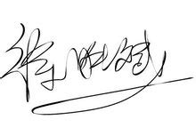 签名-签名设计-艺术签名作品|平面|字体/字形|字酷Zicool - 原创作品 - 站酷 (ZCOOL)
