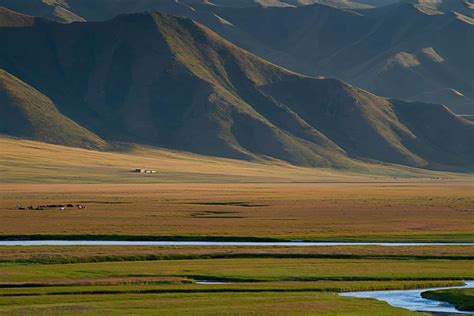 飞吧，猛士！ - 阿尔泰山脉中一名用老鹰狩猎的骑手，蒙古 (© Timothy Allen/Getty Images) | 必应每日高清壁纸 ...