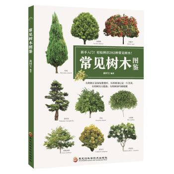 常见的100种园林树木,适合做人名的树名,100种常见乔木(第4页)_大山谷图库