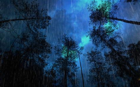 世界公认最佳放松雷雨声⚡树林自然雨声睡眠音乐，白噪音，PTSD，雷暴，睡眠，下雨，雨天，真实雨声，学习，工作，冥想，失眠，催眠，生活记录，雨声 ...