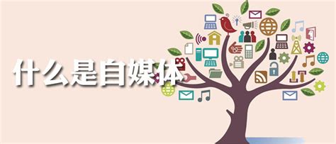 媒体聚焦_重庆市人民政府网