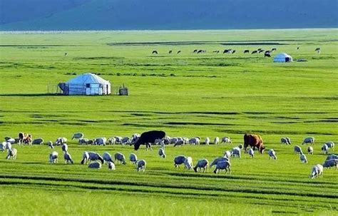 内蒙古草原旅游 – 床车穷游