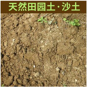 泥土种植禾苗素材图片免费下载-千库网