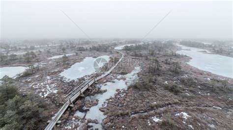 寒冷的冬季沼泽景观中的木板路高清图片下载-正版图片507177194-摄图网