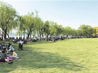 杭州这两天都是好天气！西湖边10000平方米大草坪开放-杭州新闻中心-杭州网