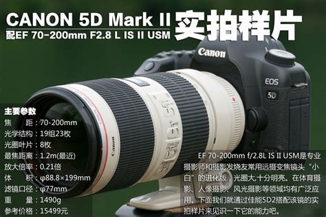 いただいた Canon 5d mark2 ℕデジタルカ