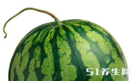 西瓜种植技术｜西瓜茎的生长特性__凤凰网