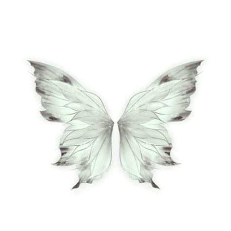 蝴蝶翅膀纹理图片-蝴蝶翅膀纹理图片素材免费下载-千库网