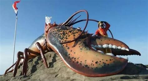 世上最大的美洲螯龙虾，体重可以达到50斤，钳子简直比胳膊还粗_腾讯视频