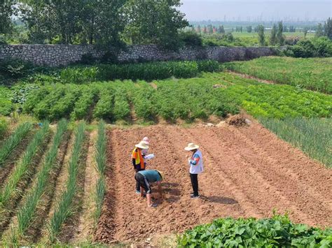 我局完成79个土地整理项目新增耕地土壤取样工作_图片新闻_徐州市贾汪区自然资源和规划局