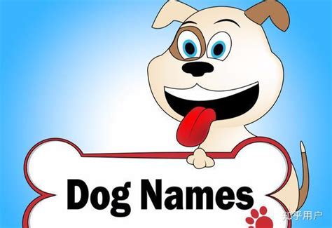 狗狗取名字有讲究，主人们，别乱给你家狗取名哦 | 宝宝取名网