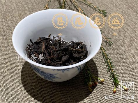 老枞茶属于什么档次茶- 茶文化网