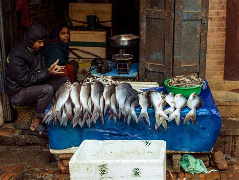 卖鱼的商贩高清图片下载-正版图片502150448-摄图网