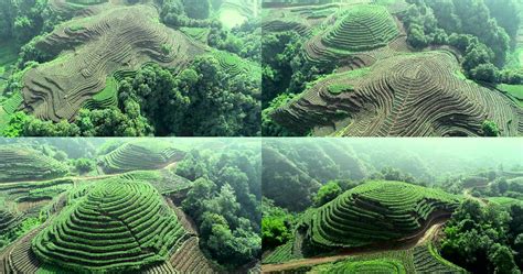 川藏高铁雅安名山段 图片 | 轩视界