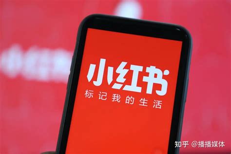 小红书运营 【MP4】 【39.6GB】 的图像结果