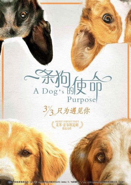 一条狗的使命2.国英双语.A.Dogs.Journey.2019.1080p.BluRay.x264-6.64GB-HDSay高清乐园