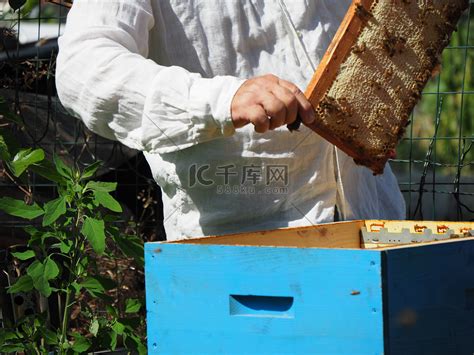 神奇的Flow Hive新型蜂箱，让养蜂变得如此简单！ - 普象网