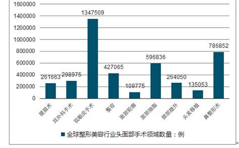 整形美容市场分析报告_2018-2024年中国整形美容市场调查与市场需求预测报告_中国产业研究报告网