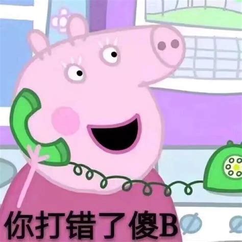 表情包佩佩图片