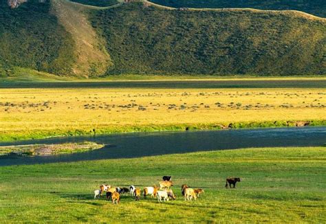再见了——美丽的内蒙古大草原 - 中国绿色碳汇基金会