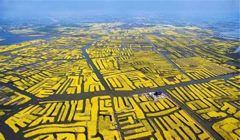 江苏兴化：三产融合 农业大市走向经济强市的“路径密码”-消费日报网