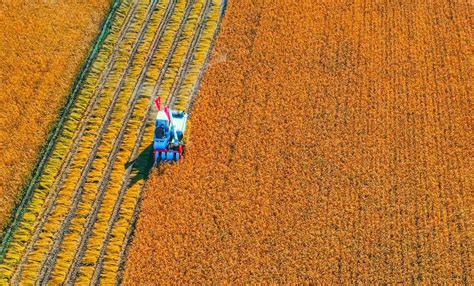 【展团风采】黑龙江双鸭山市特色农产品在2021第七届深圳绿博会上竞放异彩 - 深圳市绿然展业发展有限公司