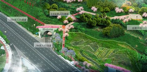新增步道及观景平台 几江长江大桥北岸人行系统优化工程完工 －综合 －江津网