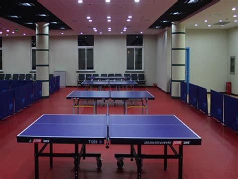 室内乒乓球建设-北京天祥恒业发展有限公司
