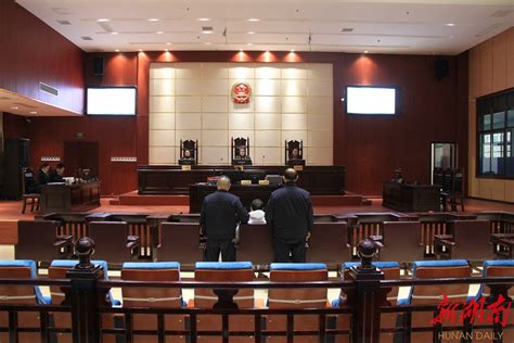 龙山法院一审审结一起缅北跨国电信诈骗案 - 湘西 - 新湖南