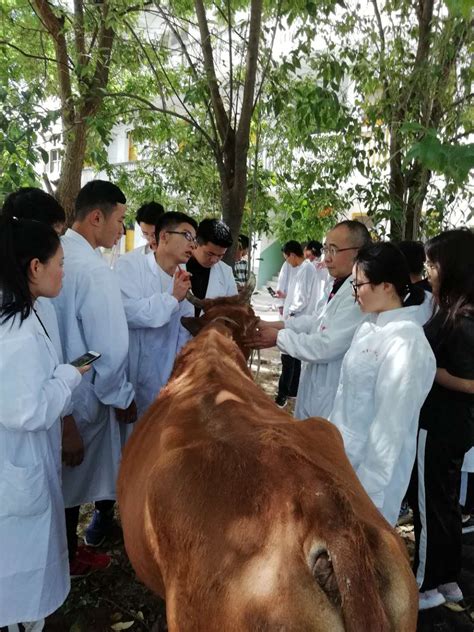 农林学院2023年招生专业——畜牧兽医-汉中职业技术学院农林生物学院