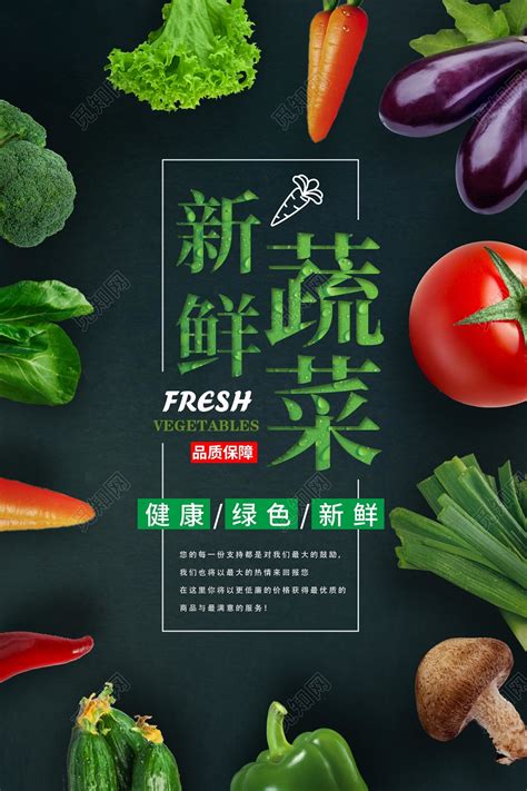 时尚有机蔬菜新鲜健康配送宣传单图片下载(蔬菜配送图片 宣传单) - 觅知网