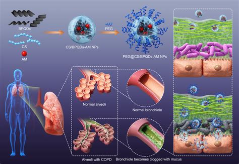Nature Nanotech 论述纳米技术在农业中的应用|纳米技术|生物_新浪新闻