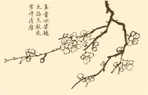 陆游的梅花古诗（描写梅花的经典诗句）-我爱育娃