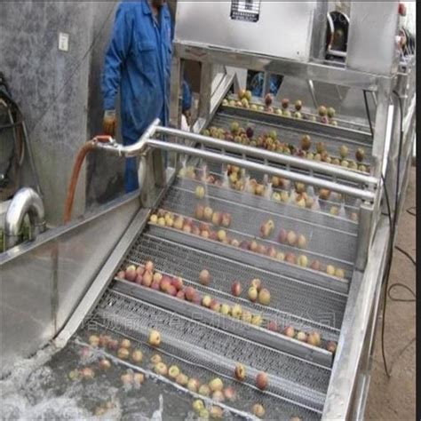 玉米加工设备玉米清洗机生产厂家诸城鼎诚机械-食品机械设备网